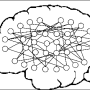 brain-graph.png